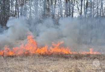 В регионе зафиксированы первые случаи горения сухой травы
